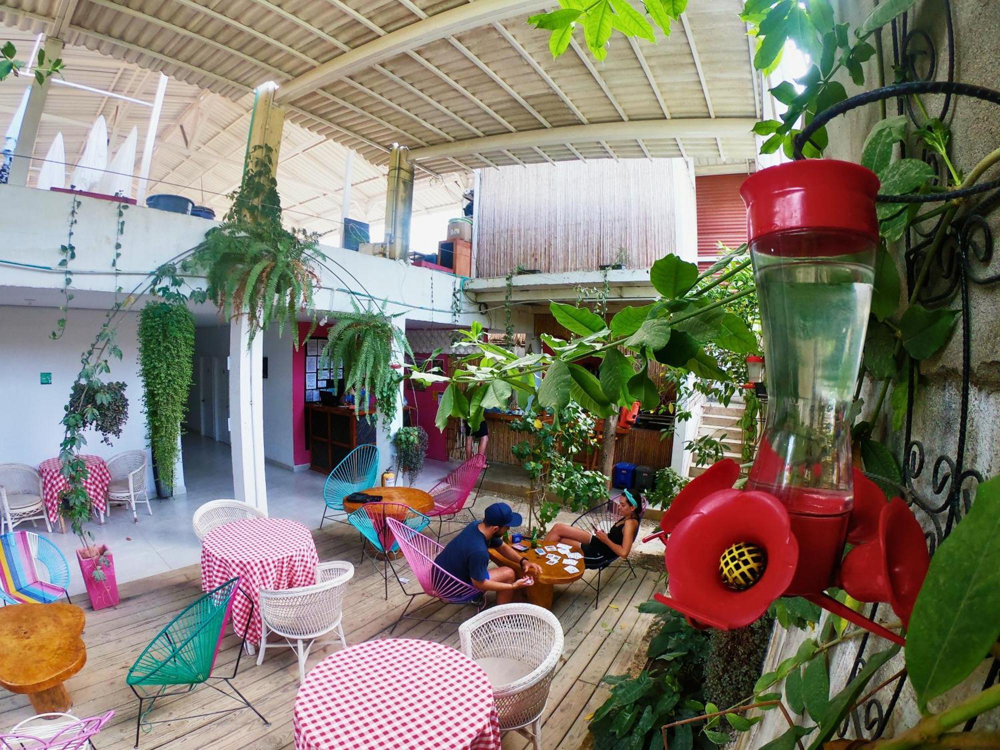 Casa Colibri Palomino Hotel Eksteriør billede